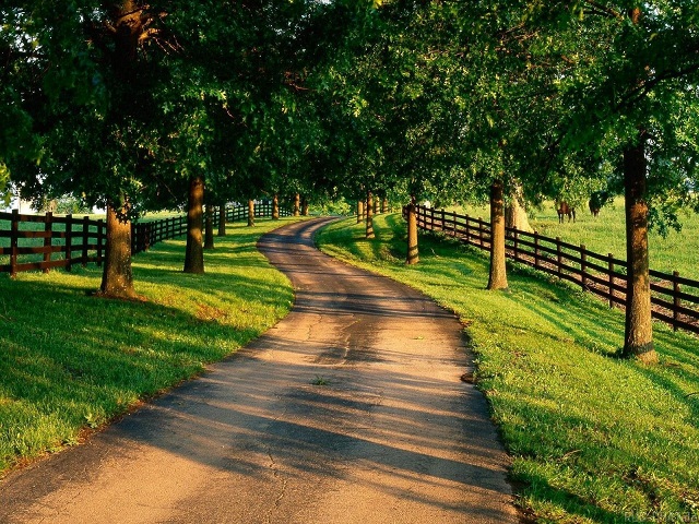 电话测压在线平台